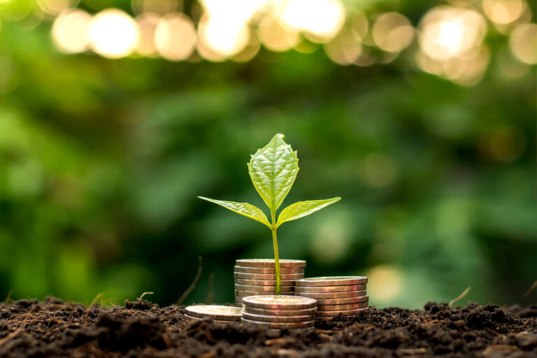 7 Simple Ways to Bank Greener