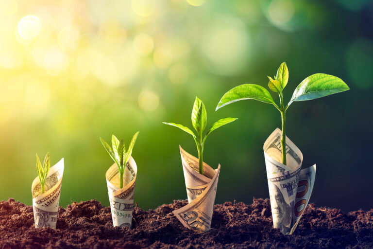 CDs vs. Money Market Accounts: Understanding Your Options